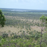 Cienaga del Lannier