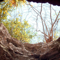 Cueva Finlay