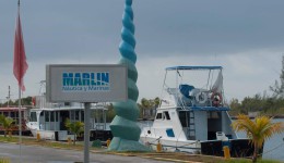 MARINA EL COLONY 1