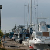 Marina Colony