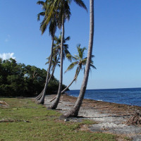 Playa Bibijagua