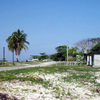 Poblado de Cocodrilo