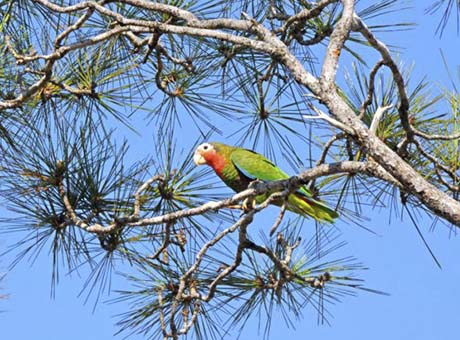 Naturaleza en estado puro.
