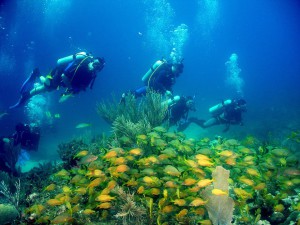 CENTRO INTERNACIONAL DE BUCEO CAYO LARGO 0