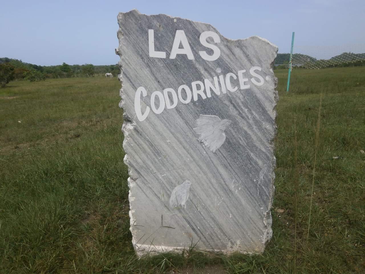 HOTEL LAS COODORNICES 1