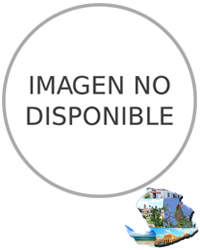 Sin título-1