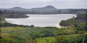 PRESA VIET NAM 3 PRESA VIET NAM 3