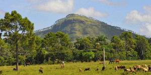 SIERRA LA CAÑADA SIERRA LA CAÑADA