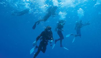 BUCEO EN PLAYA GIRÓN