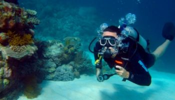 BUCEO EN TARARÁ