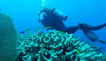CENTRO DE BUCEO COPACABANA