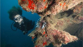 CENTRO DE BUCEO FARO LUNA