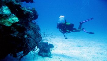CENTRO DE BUCEO GUAJIMICO