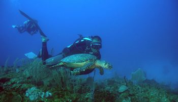 CENTRO INTERNACIONAL DE BUCEO CAYO LARGO 1