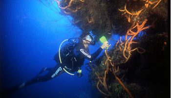 CENTRO BUCEO TRINIDAD