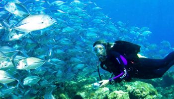 CENTRO DE BUCEO CAYO GUILLERMO
