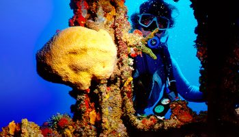 CENTRO DE BUCEO COVARRUBIAS