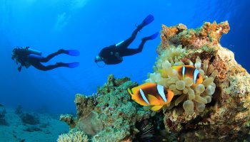 CENTRO DE BUCEO PLAYA PESQUERO