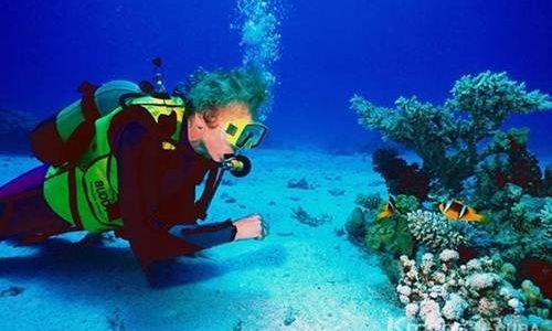 Buceo en Playa Girón.