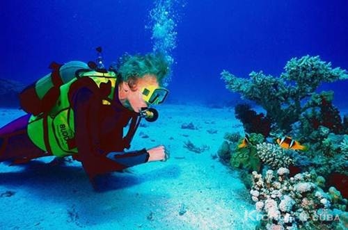 Buceo en Playa Girón.
