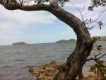 Fotos de: Carlos Melaneo Pedreguera Llovio