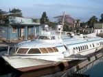 Kometas 1982